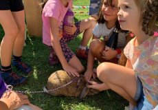 2023_09_20_SD_barevna_chovatele-0007.jpg