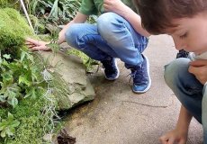 2025_06_03_ŠD v Botanické zahradě_03.jpg